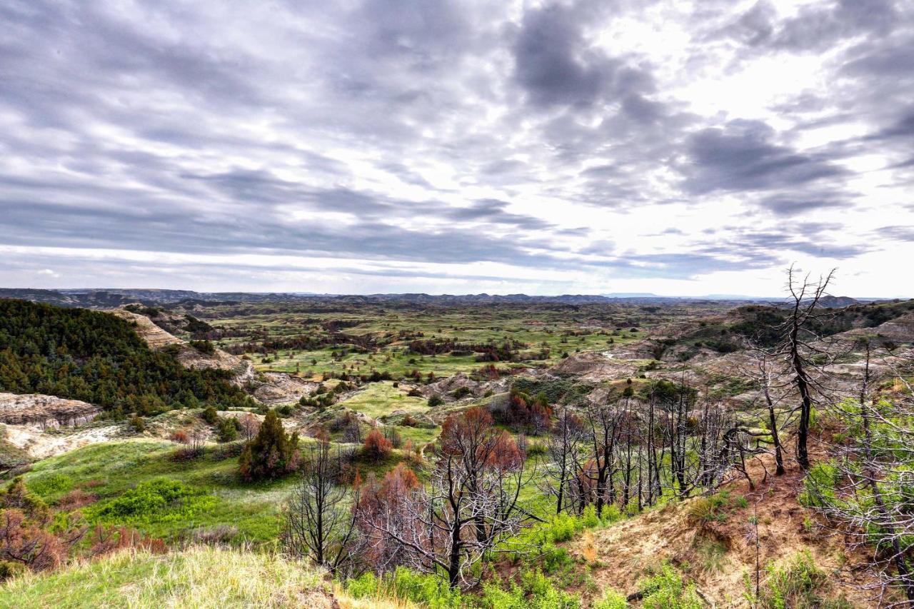 Badlands Suite Less Than 1 Mi To Teddy Roosevelt Park! Медора Экстерьер фото